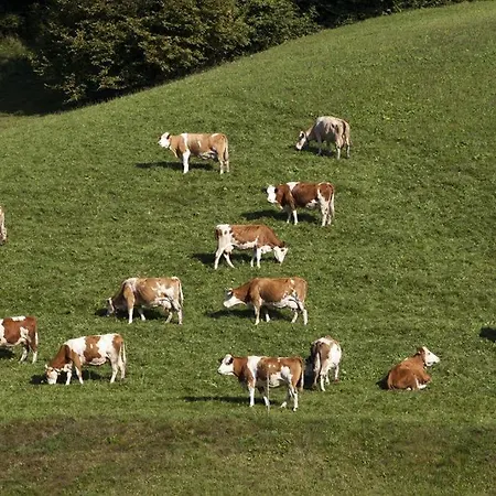 Zasserlhof Familie Bamberger *