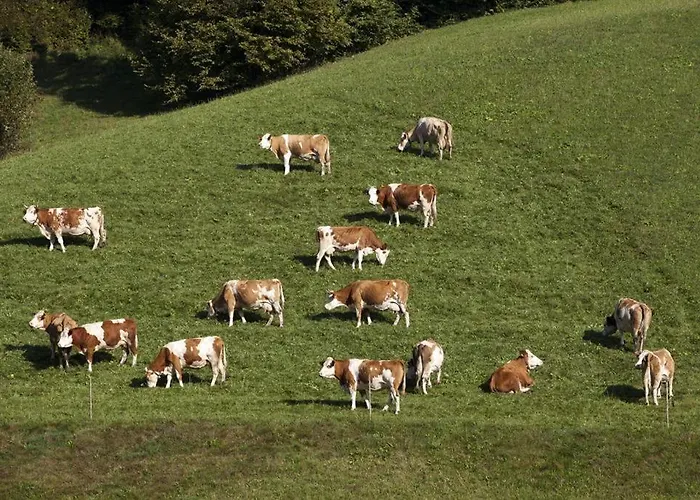 Zasserlhof Familie Bamberger *